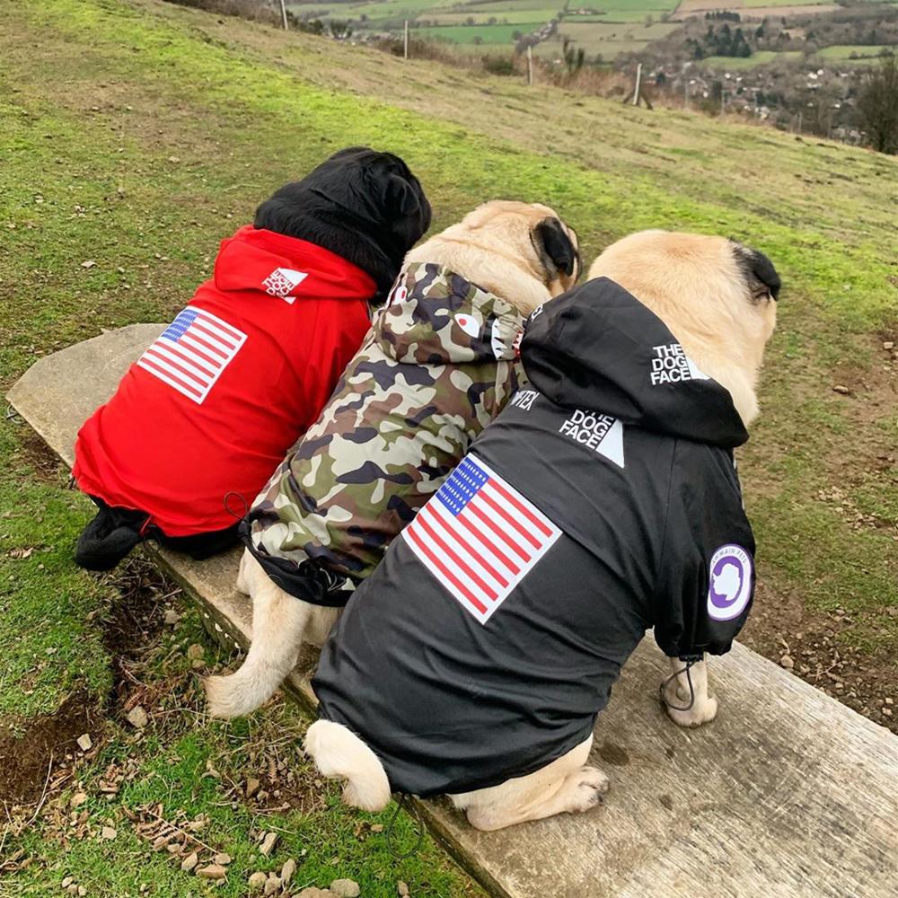 Ropa para Perro Adidog, Bulldog Francés, Pupreme, camisa para Perro, cortavientos, deporte Retro, Sudadera con capucha para Perro mascotas, Ropa para Perro