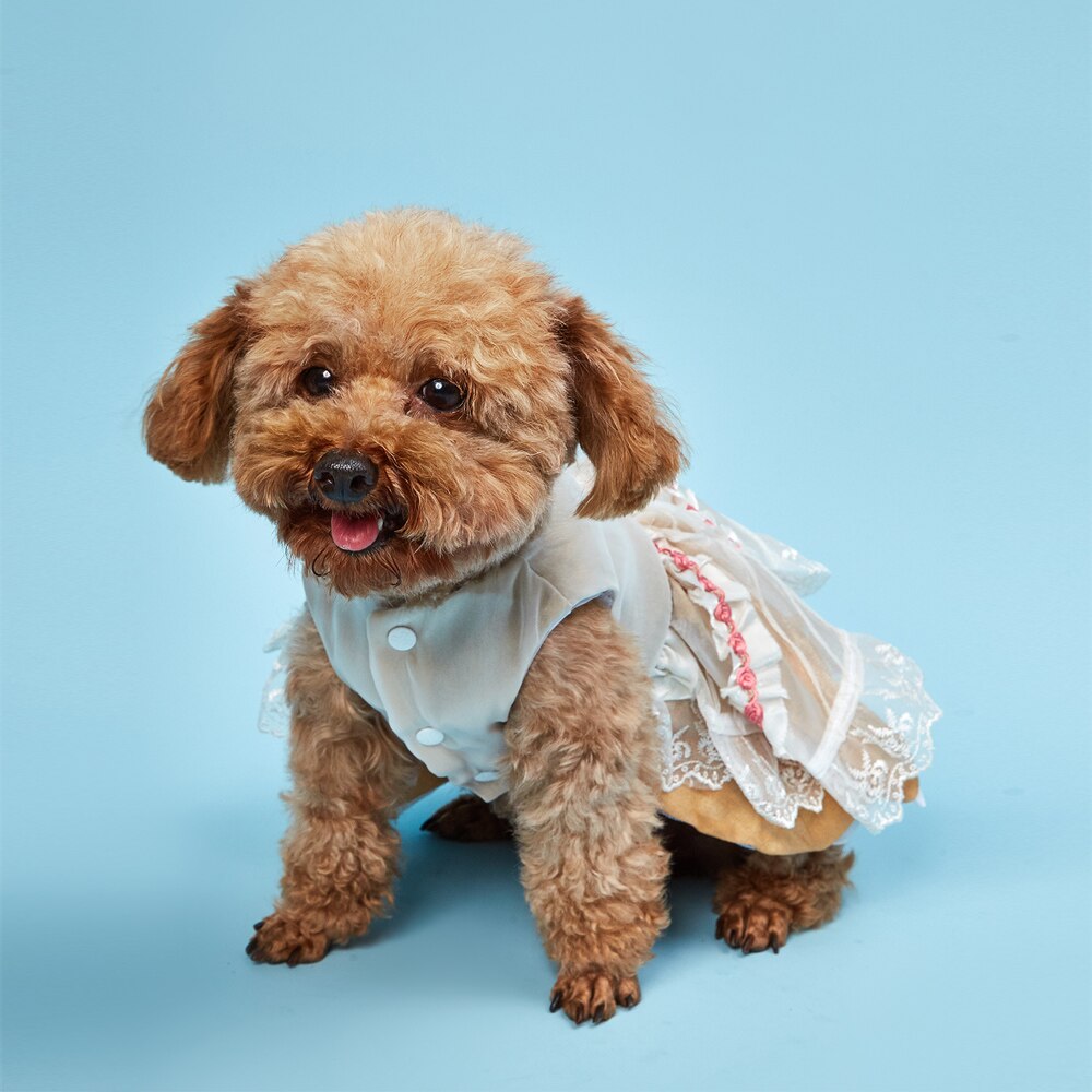 Hond Trouwjurk Met Rose Decoratie Puppy Bloemen Borduren Lace Jurken Voor De Zomer
