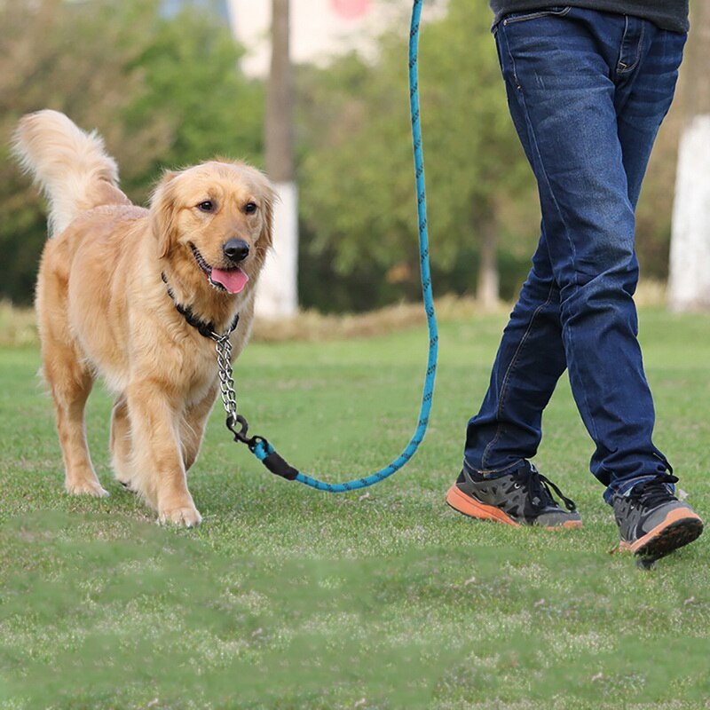 Reflecterende Grote Hondenriem Nylon Touw Pet Running Tracking Riemen Lange Lood Hond Bergbeklimmen Touw Voor Medium Grote hond