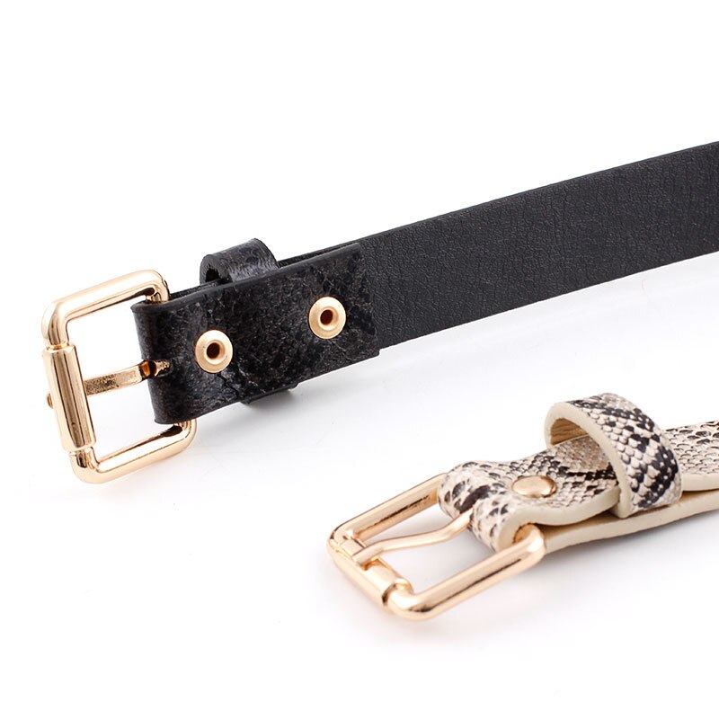 Vrouwelijke Luipaard Riem Snake Skin Zebra Print Dunne Paardenhaar Tailleband Pu Lederen Gouden Ring Hart Pin Metalen Gesp Dames Riemen