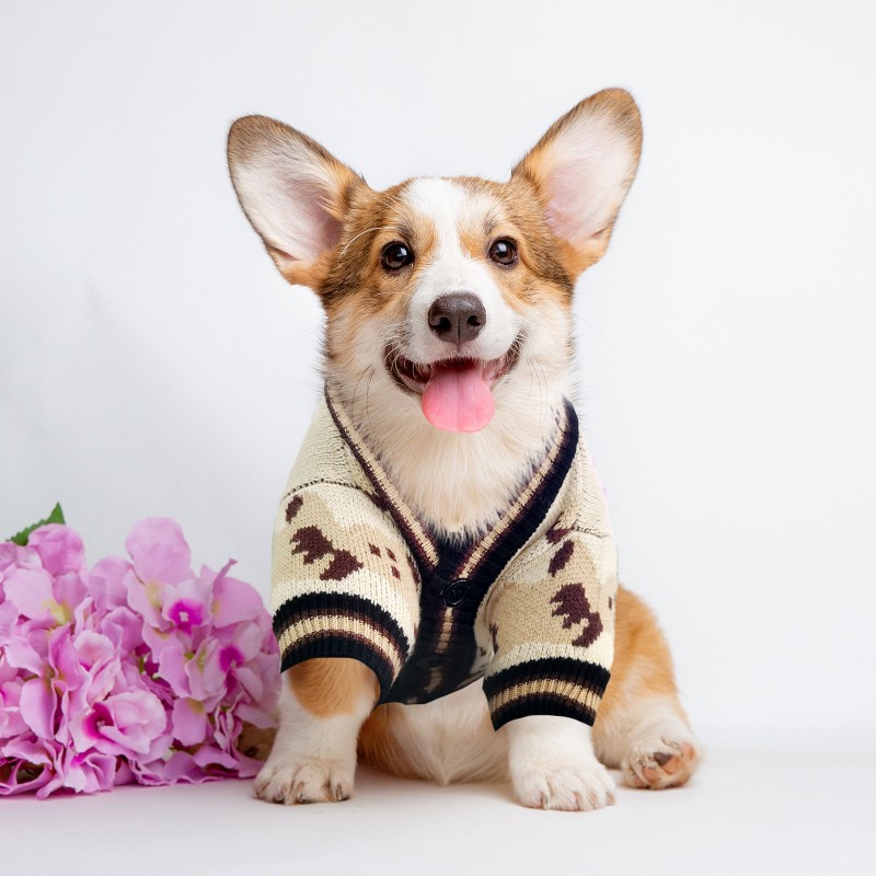 Hondentrui voor kleine middelgrote honden Puppy Kat Beer Patroon Vest Jas Chihuahua Yorkshire Kleding Outfit Hondenkostuum