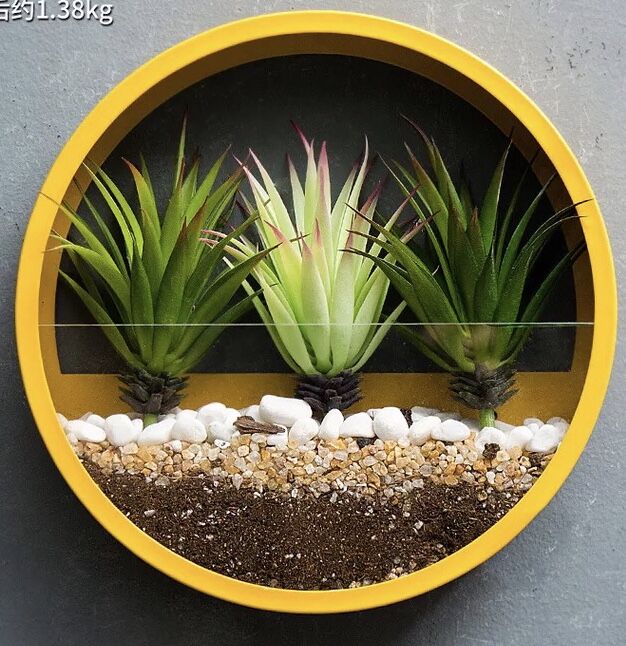Pot planteur rond mural suspendu | Vase porte-plantes décoratif pour la maison, idéal pour les Cactus succulents, les plantes à Air, etc