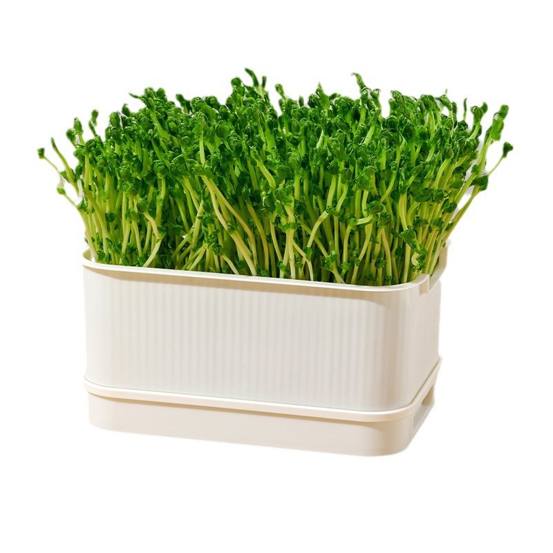 Bandeja para brotes, caja para verduras, guisante sin suelo, plántulas de frijoles, bandejas para vivero, placa para brotes hidropónicos, herramientas de jardín para brotes de semillas: BLANCO