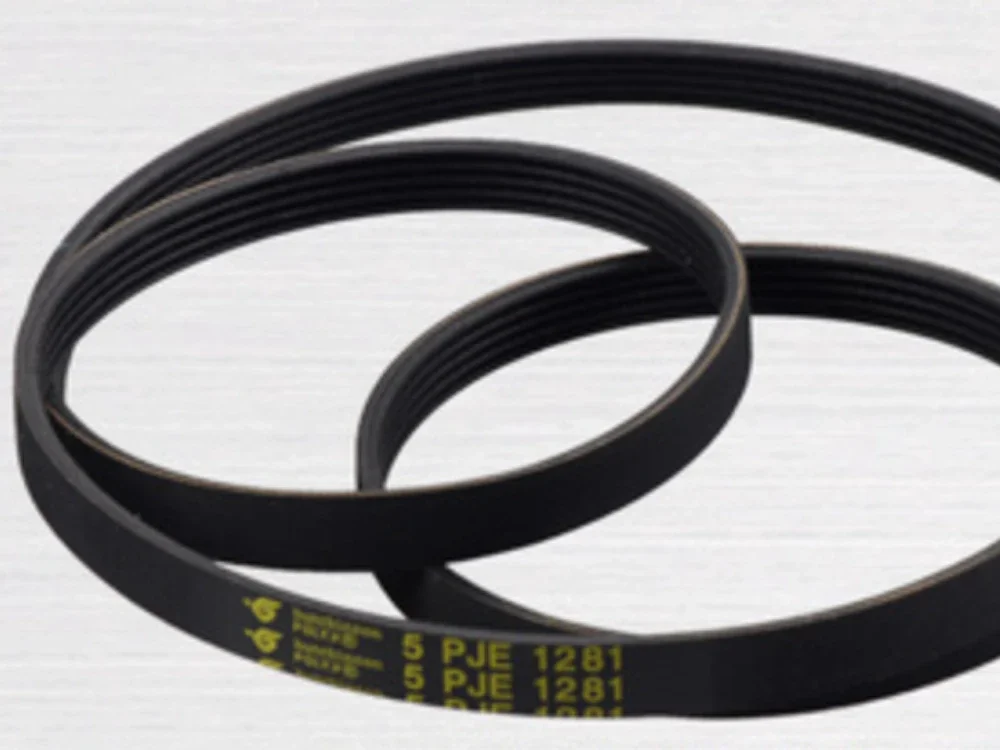 Washing Machine Parts Belt 5PJE 1281 5EPJ1270 8EPH1258 6PJE1274 5PJE1239 5EPJ1105: WHITE
