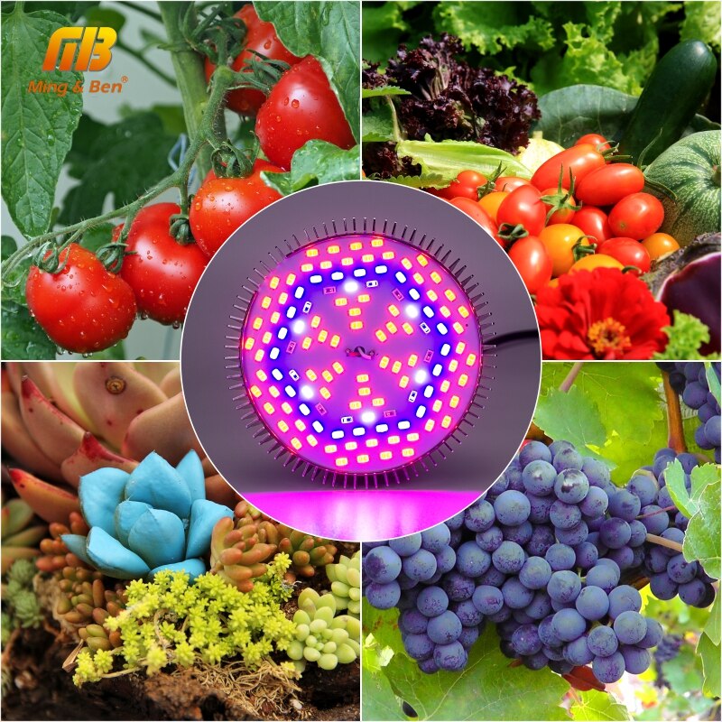 Lampe horticole de croissance UV/IR, 5/10/30/50/80W, spectre complet, pour culture hydroponique de plantes et légumes