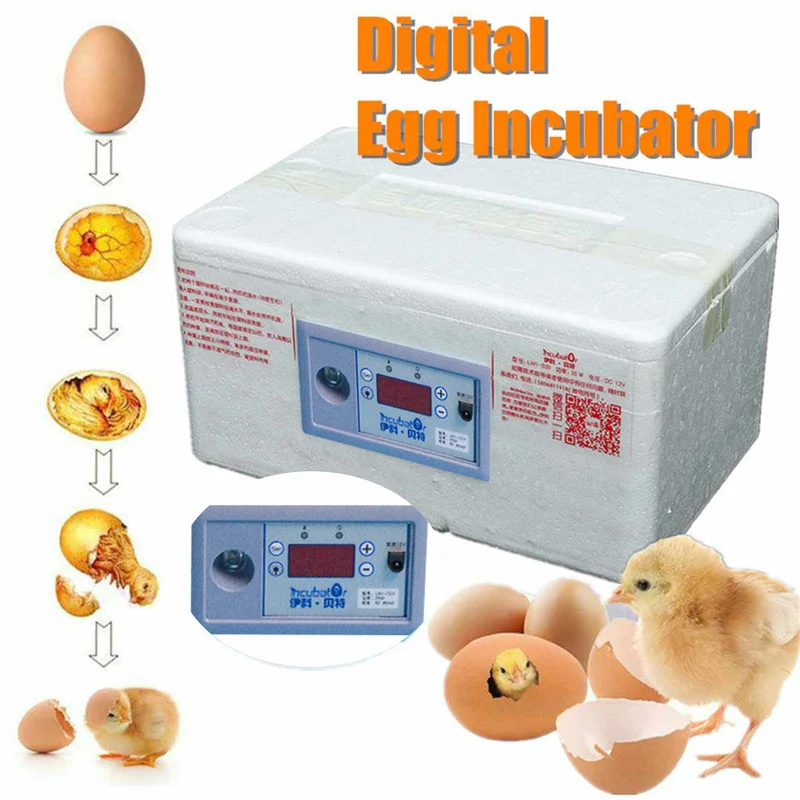 20 Eggs Incubator 12V Automatic Digital Family Incubator Chicken Poultry Hatcher Foam Waterbed Incubator Farm Incubation Tools
