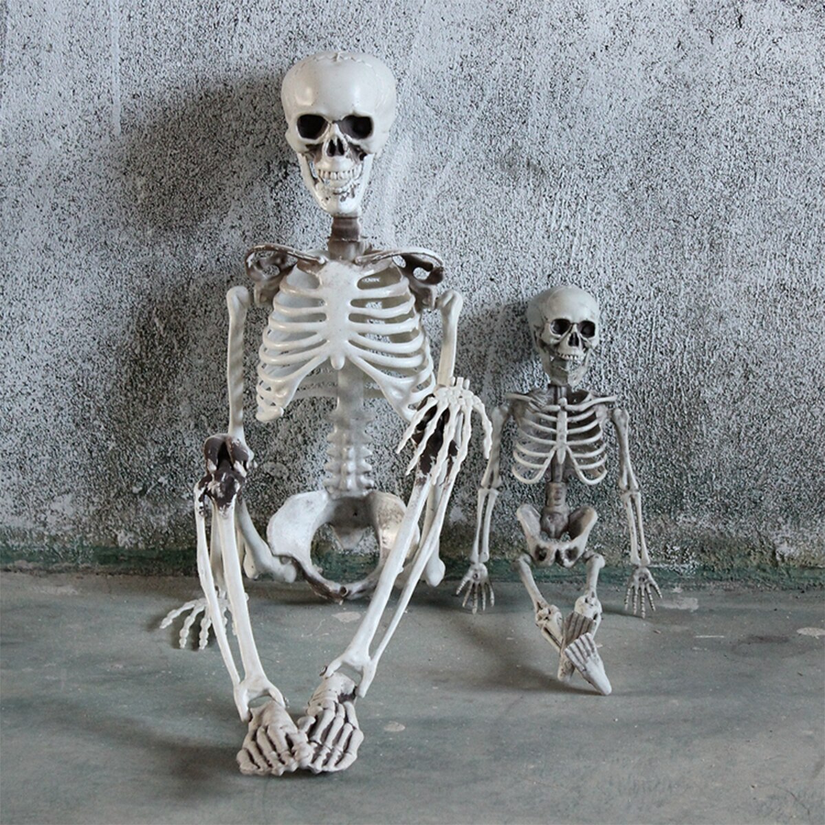 Halloween Menselijk Skelet Model Anatomie Skelet Schedel Partij Decoratie Anatomisch Skelet Horror Art Schets