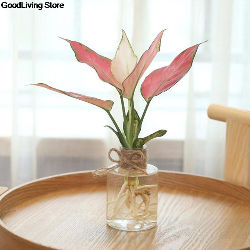 Mini florero de Jacinto de resina transparente para decoración del hogar, maceta de flores y plantas, adornos artesanales para sala de estar, jardín, decoración de escritorio, 1 ud.