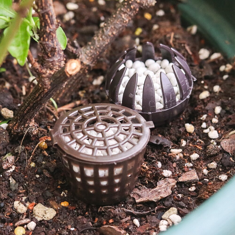 Cesta de tapa de fertilizante, herramienta para plantar bonsái, suministros de jardinería para Osmocote, orquídea, planta de flores, café de plástico, 10 Uds.