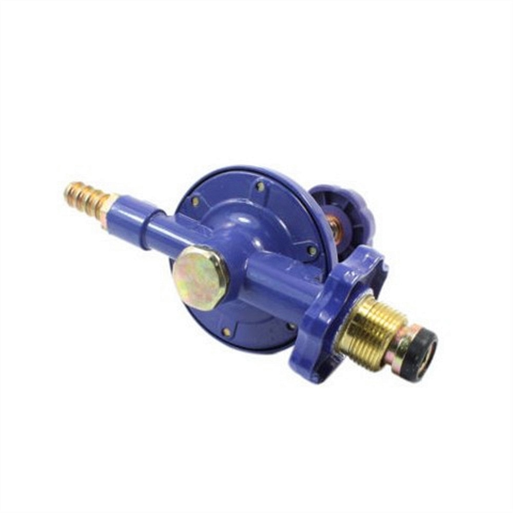1 PC Replacement 1 Inlet 1 Outlet Liquefied LGP Gas Pressure Regulator Dark Blue