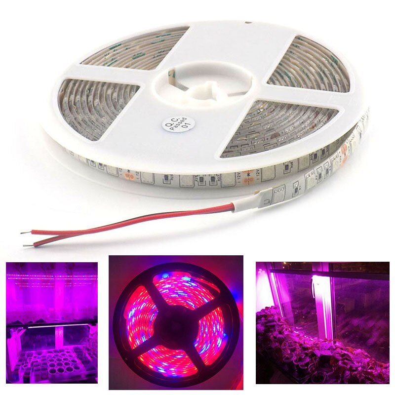 Bande lumineuse LED 5050 pour culture de plantes, étanche, 1M DC 12V 5, rouge, bleu, pour Aquarium, Hydro système, serre intérieure