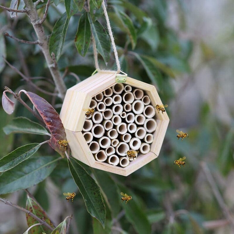 2- pack natuurlijke bamboe bijenkorf insectenhotels metselwerk bijenhuisbuizen voor het aantrekken van vreedzame bijenbestuivers voor de tuin