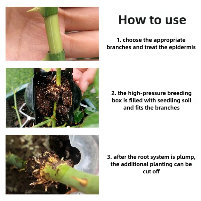 Bola de enraizado para Injerto de plantas, Bola de propagación de cultivo, cápsulas de capas de aire medio transparentes reutilizables para plantas de propagación rápida, 9 piezas