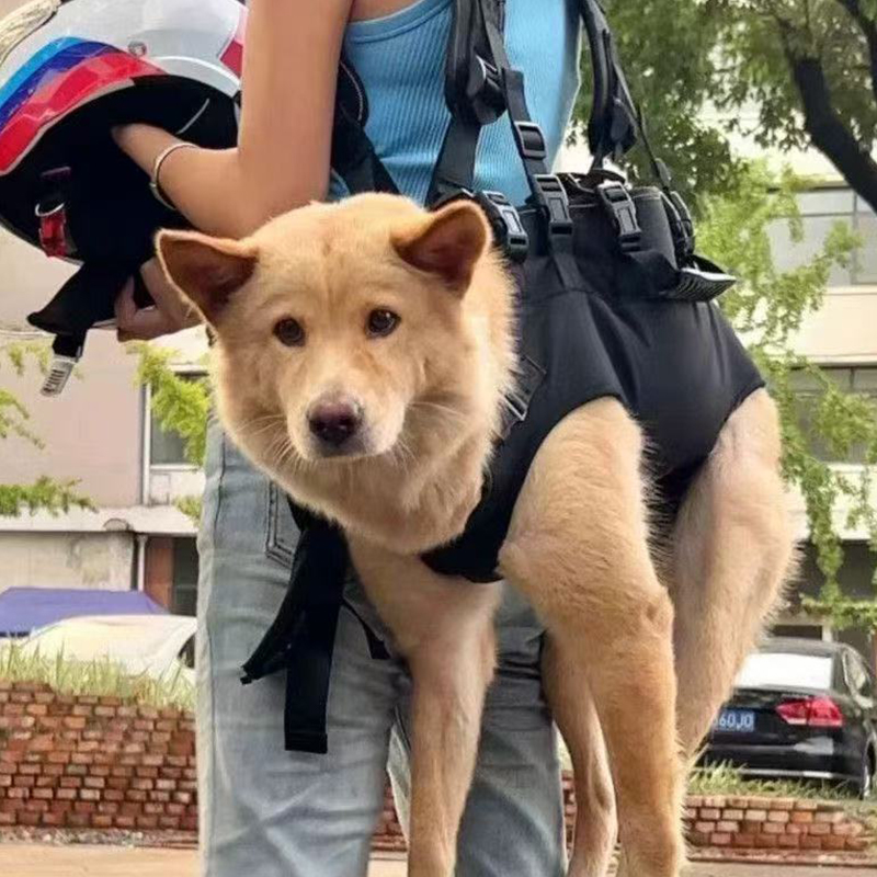 Pet Dog and Cat Carrier Bag Outdoor Hiking Bicycle Bicycle Dog Traveling Bag Backpack for Small Dogs, Medium Dogs and Cats