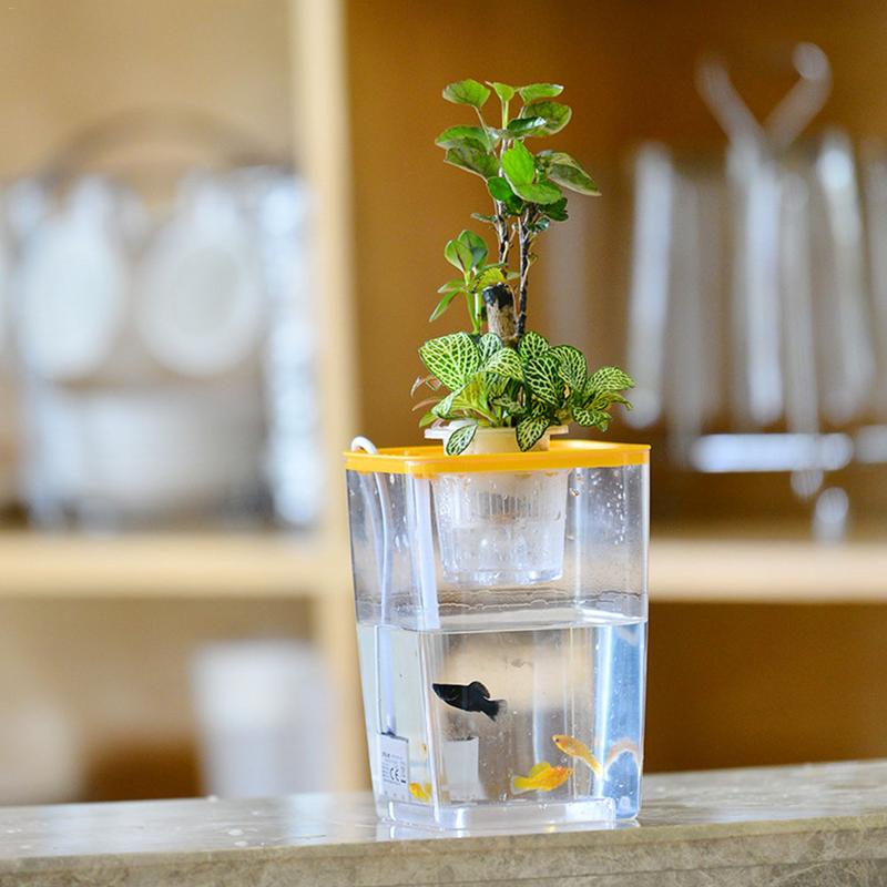 Pecera acrílica para peces y verduras, pecera transparente de escritorio para acuario, agua libre de simbiótica, para oficina, original