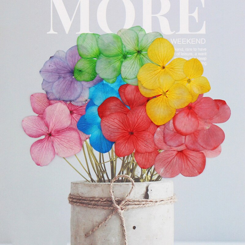 60 stuks/pak hortensia epoxy gedroogde bloemen reliëf plant specimen handgemaakte doe-het-zelf aromatherapie materiaal accessoires