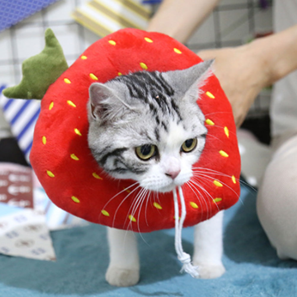 Adjustable Elizabeth Collar Anti-Licking Pet Recovery Ring Anti-Bite Protective Ring Surgery Wound Healing Circle For Dogs Cats