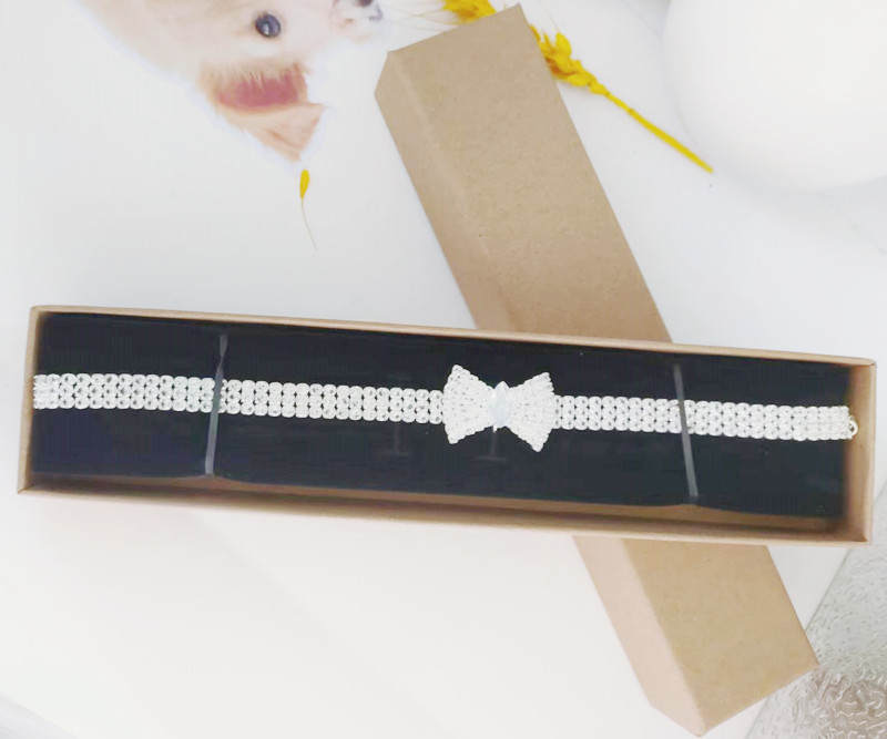 Zirkoon vlinderdas Chihuahua halsband Rose goud kreeft knop kat ketting met pakket doos verstelbare huisdieraccessoires voor het hele seizoen