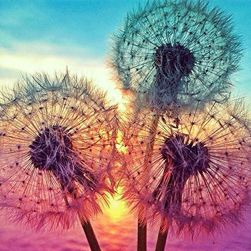 5D DIY Diamond Painting Dandelion Plant Diamond Embroidery Cross Stitch алмазная вышивка Mosaic Diamond Home Decoration: Default Title