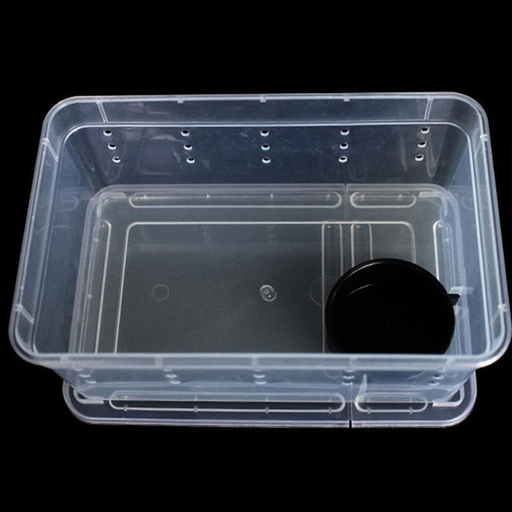 Adeeing Transparent Feeding Box Reptile Box Amphibian for Snake Cage Lizard Spider Reptile Combination: large