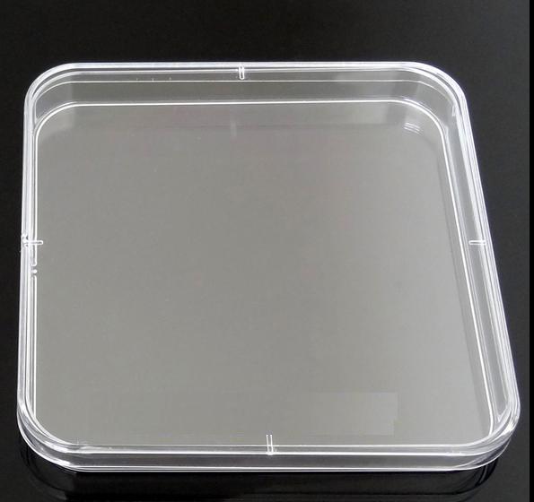 10pcs clear 13*13cm square plastic petri dish with cover,culture dish,