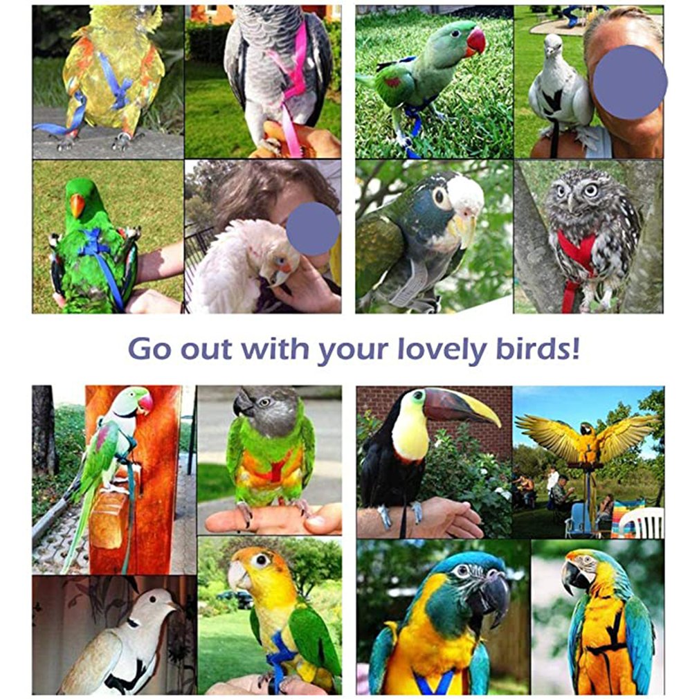 Nylon Verstelbare Bird Harness Duurzaam Elastische Stof Ademend Training Vest Vogel Veilig Harnas Papegaai Kaketoe Levert
