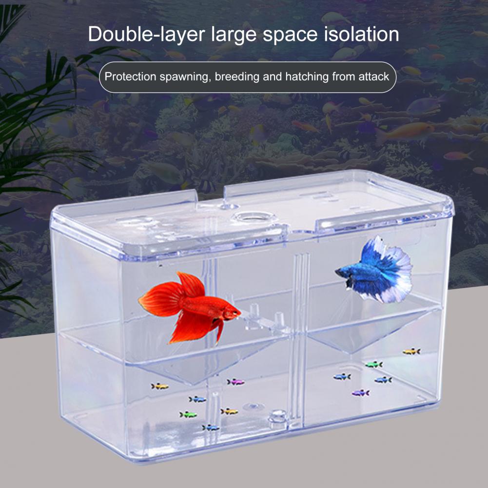 Fish Isolation Box Safe Aquarium Breeding Tank Isolation Box Home Use Fish Hatching Box
