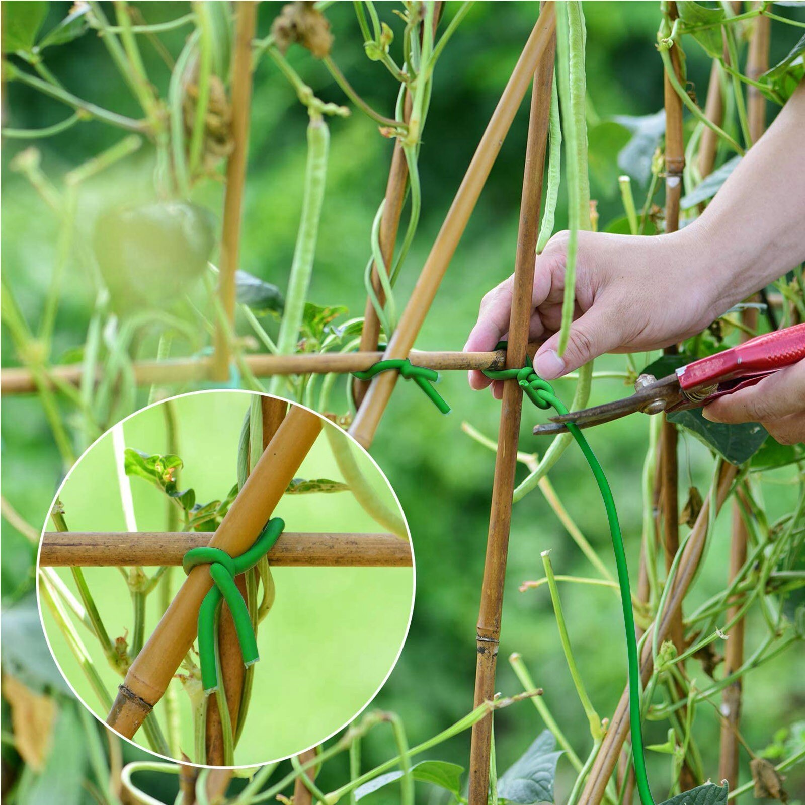 Weiche Eisen Garten Kabelbinder Blume Kabel Draht Multifunktions Riemen Mehrweg Magische Band Klettern Pflanzen Kabel Linien Anlage Halterung