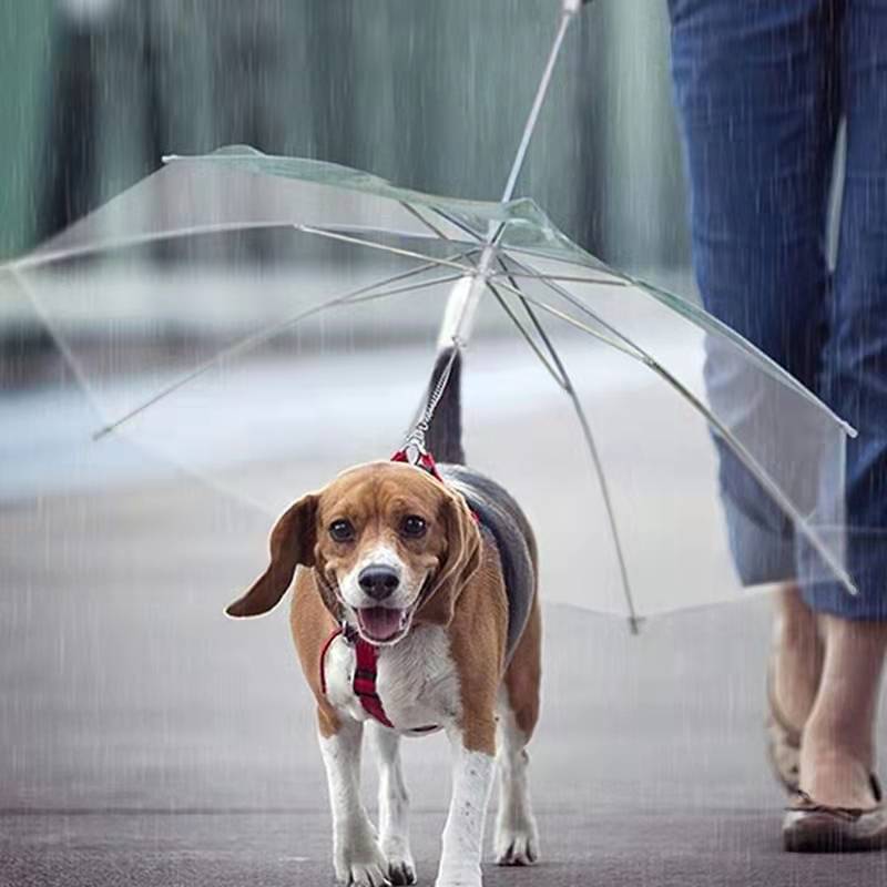 Ombrello da pioggia per animali domestici ombrello da pioggia in PE trasparente per cani di piccola taglia con guinzagli per cani mantiene l&#39;animale asciutto comodo sotto la pioggia nevicata