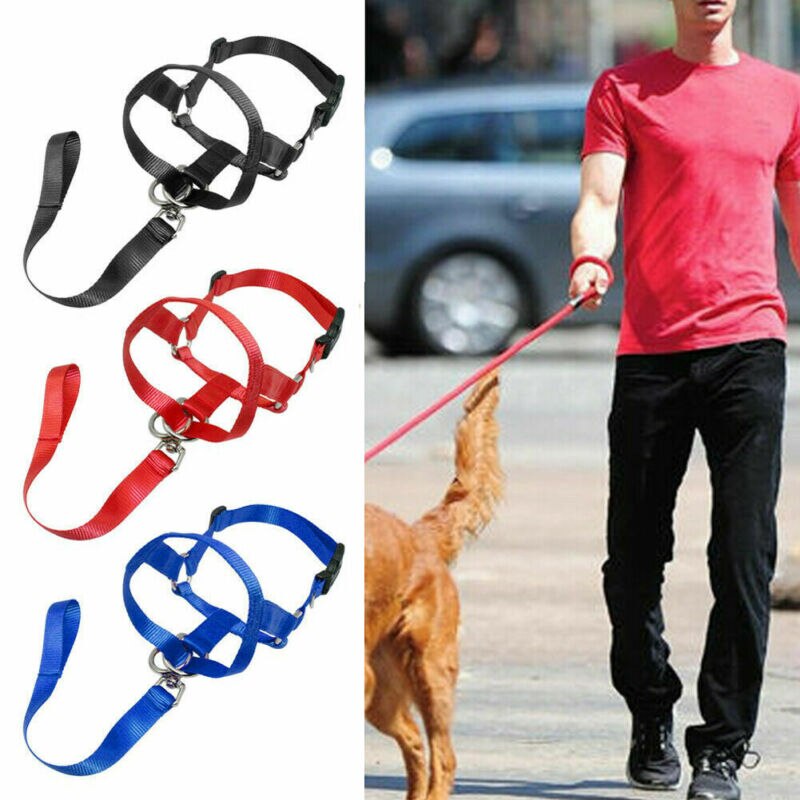 Dogalter Pet Dog Collars Halter Halti Training Head Collar Gentle Leader Harness Nylon Leads