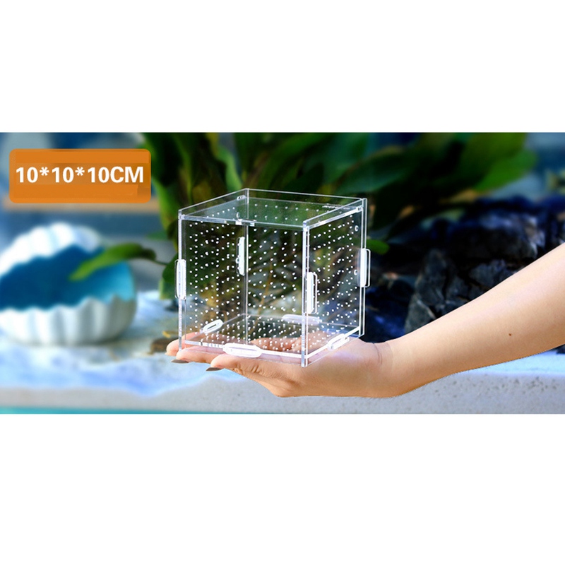 Multiple Specifications Aquarium Supplies Fish Tank Acrylic Isolation Box Breeding Box Aquarium Accessories Aquatic Pet Supplies