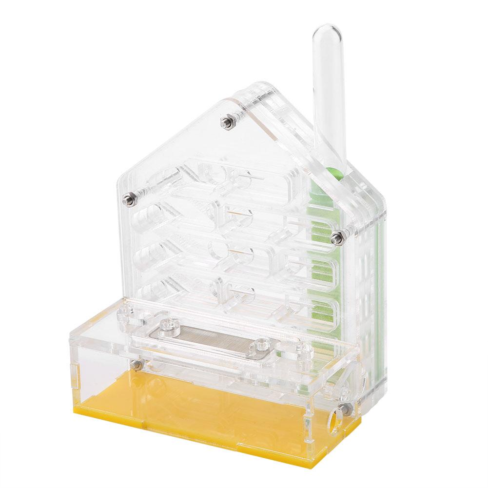 Nido de hormigas acrílico, Villa, casa de granja, formicario para alimentación de hormigas, cría de insectos pequeños, suministros de animales de granja