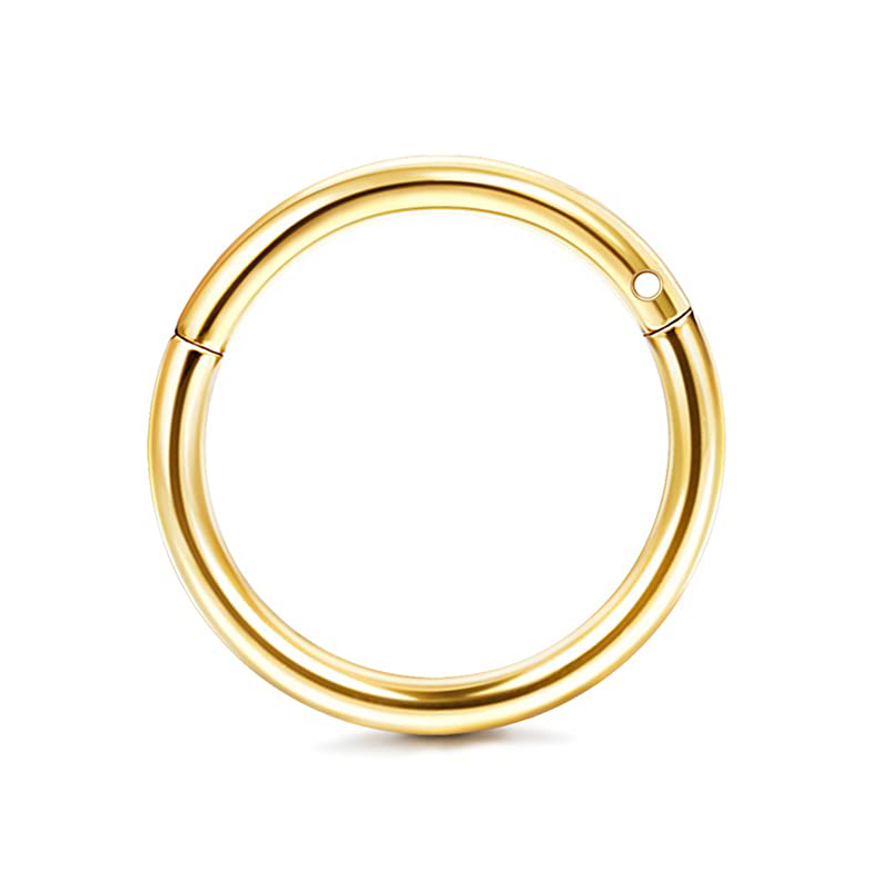 Drperfect 1pc 16G Eyebrow Rings Stainless Steel Belly Lip Cartilage Hoop Rook Daith Earrings Tragus CZ Piercing Curved Barbell: Imitation Rhodium Plated