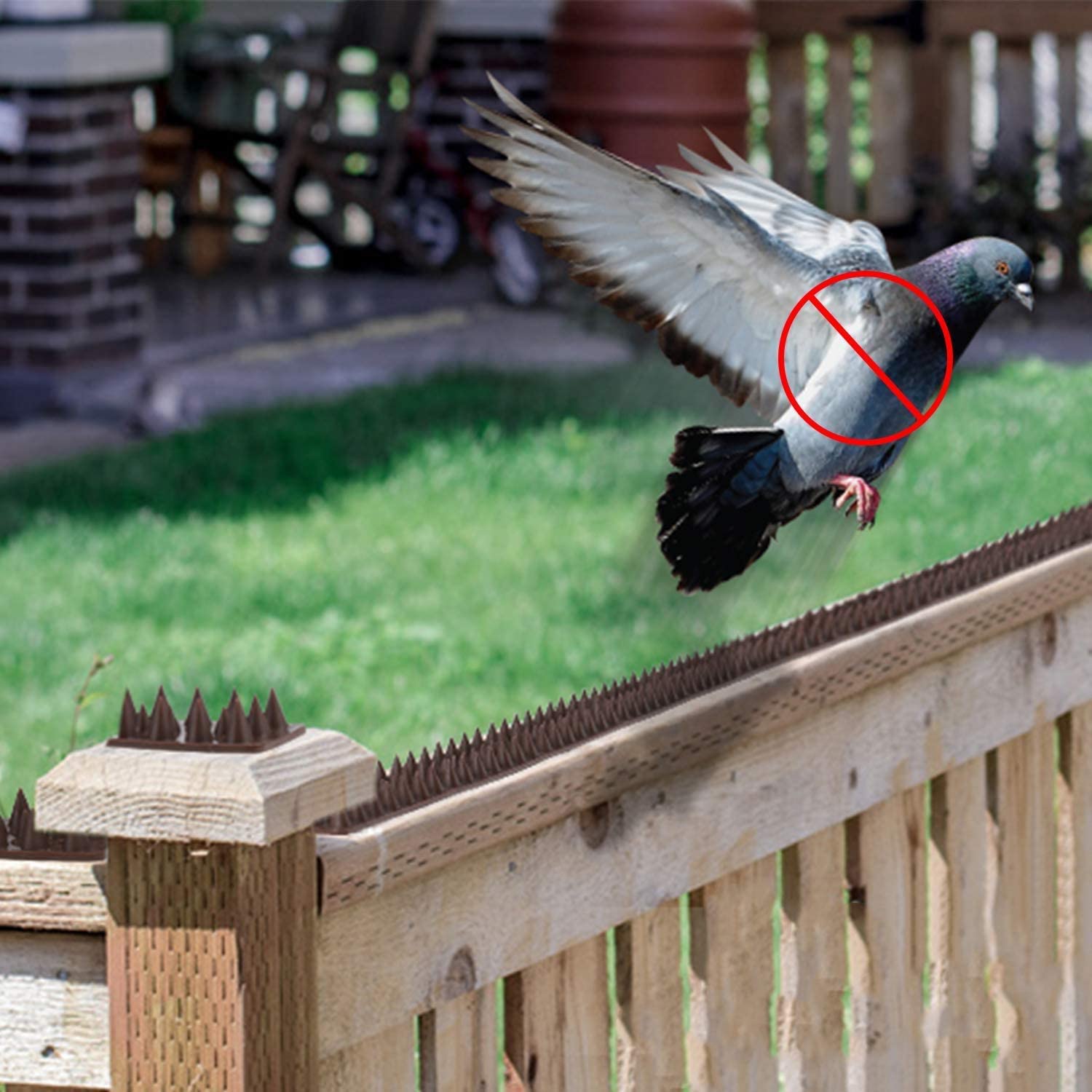 6/12pcs Safe Eco-friendly Plastic Spikes Anti Bird Anti Pigeon Spike for Get Rid of Pigeons and Scare Birds Pest Control