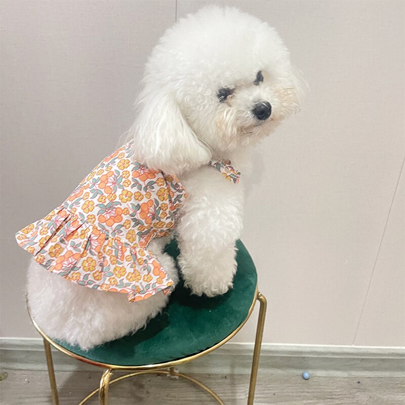 strapless open back dress Doggie Design Blue Daisy Dog Dress with Matching Leash (Medium) main image 1