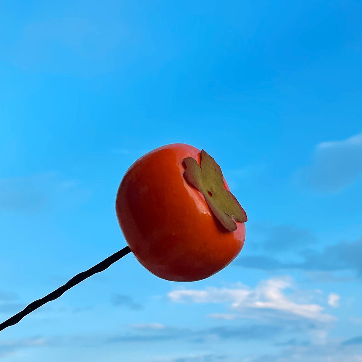 Mini Auto Antenne Decoratie Exterieur Decoratie Antenne Leuke Cartoon Voedsel Pop Cactus Dak Modificatie: NO.18