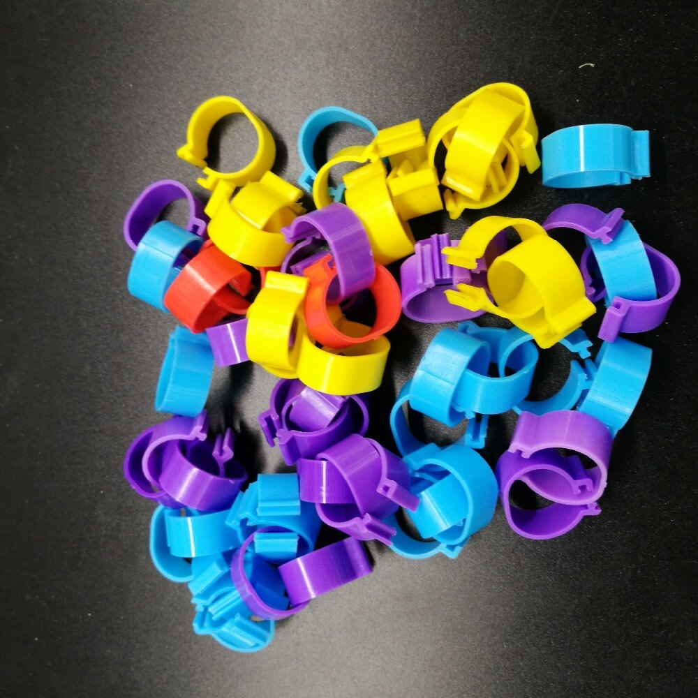 Anillos de pie de gallina y Paloma para pierna, palomas, aves de corral, pollitos, patos, loros, anillo de Clip, herramientas para codorniz, 1,6 cm, 1000 Uds.