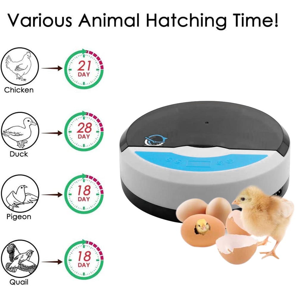 Newest Best Farm Hatchery Machine 9Egg Hatchers Cheap Price Chicken Semi Automatic Egg Incubator China for Quail Brooder