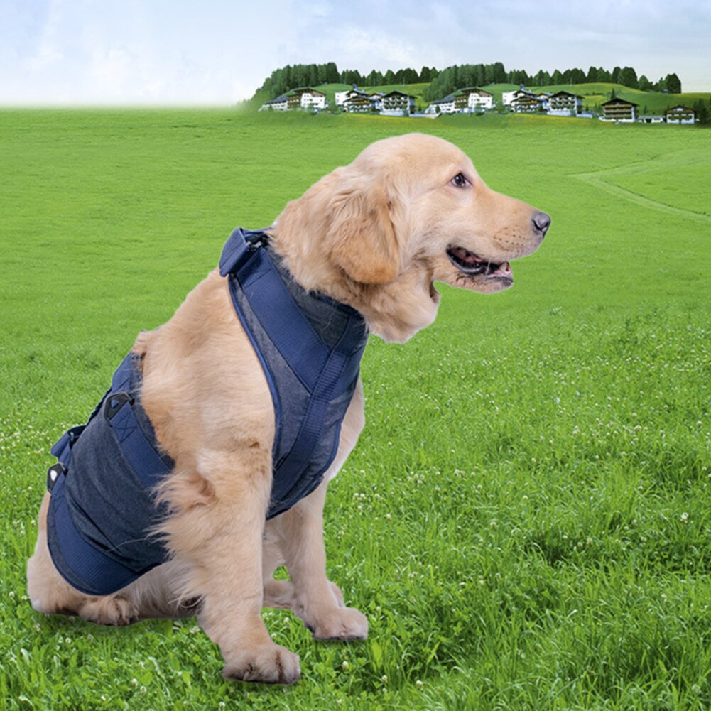 Auxiliary Belt Adjustable Back Harness Stand Up Health Care Disabled Legs Dog Lift Sling Pet Supplies Senior Injured Hip Support