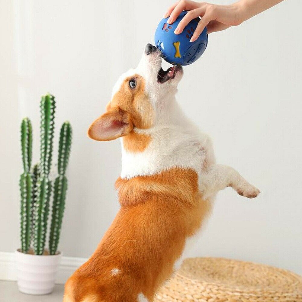 Valp hund kattmat dispenser boll silikon ljud husdjur hund golden retriever tuggboll leksak 2 färger