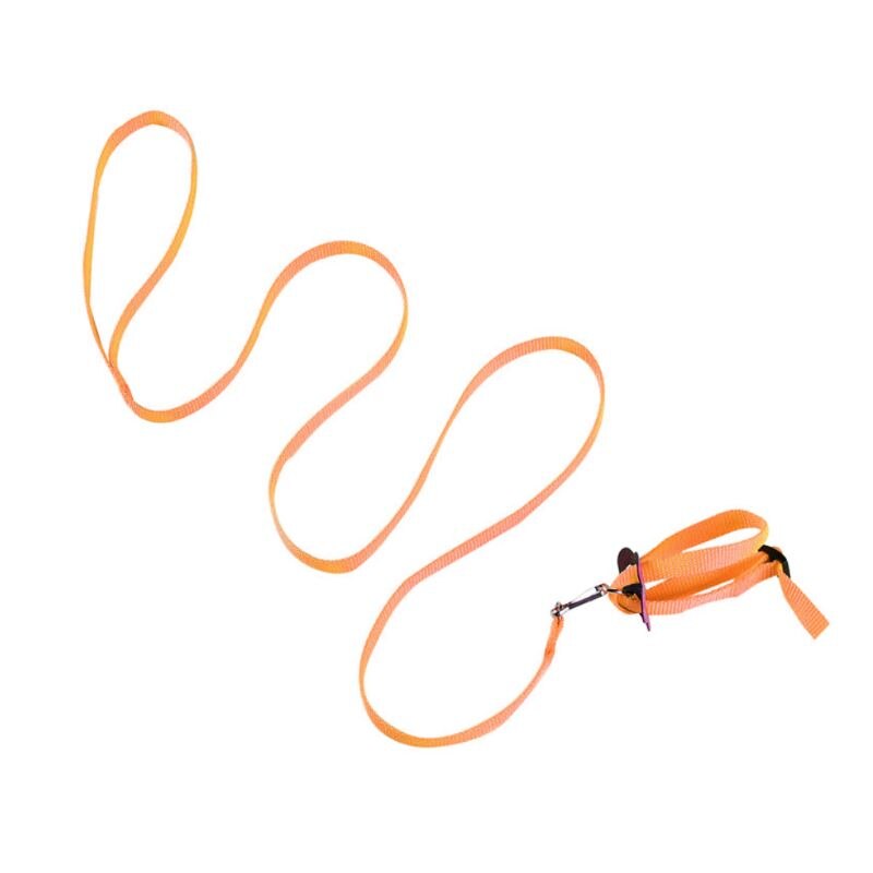 Harnais à col d'oiseau coloré, réglable, Hamster, tortue, lézard, corde de Traction, rênes, collier en forme de 8, laisse pour animaux de compagnie: Orange