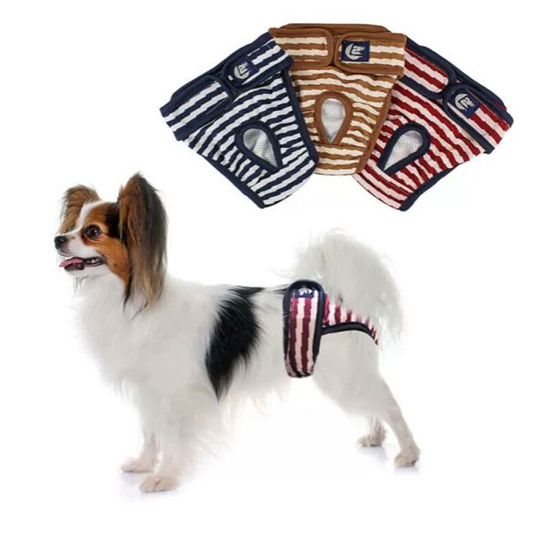 Couches pour hommes et femmes, sous-vêtements menstruels, culottes hygiéniques réutilisables pour petits chiens, pour la stimulation des règles