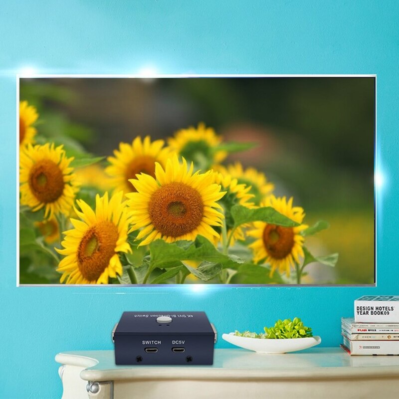 2 Ports DVI Manual Sharing 4K Switch 2 Monitors to 1 Device for PC Laptop DVR Projector HDTV etc