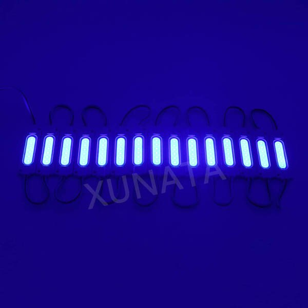 LED Modules Module Injection COB With Lens Waterproof LED Light Module For Sign Letter DC12V 2W IP65 Aluminum PCB: Blue