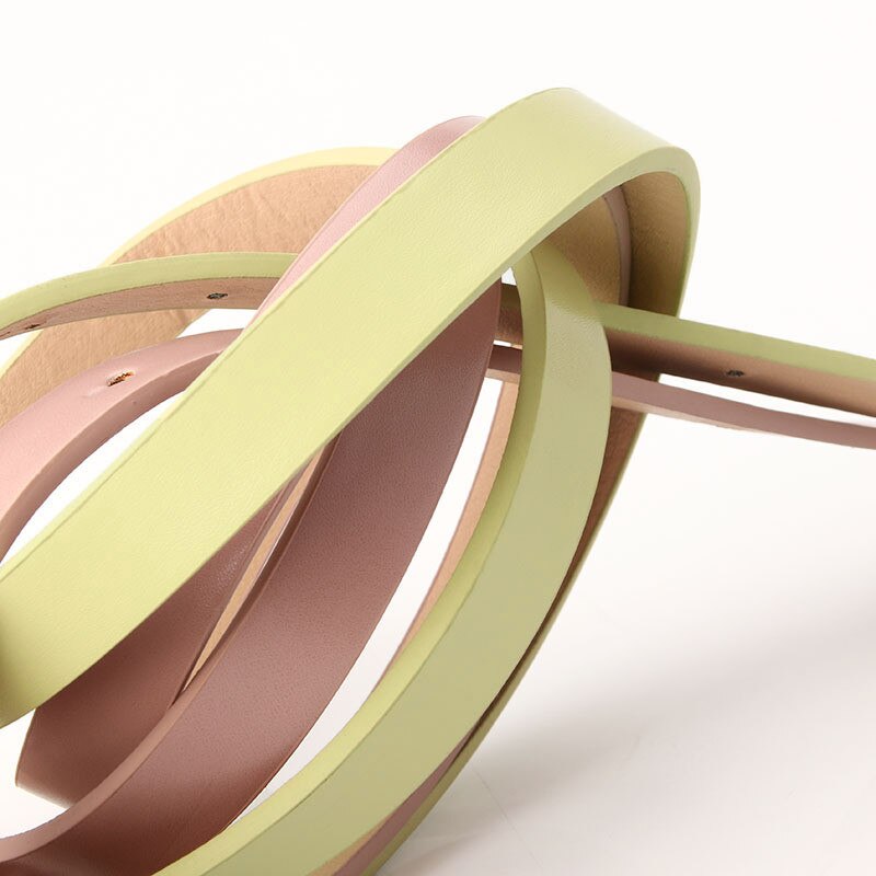 Lujosa hebilla de Metal, cinturón Delgado, cinturón clásico de mujer rebelde finos, correas de cinturón minimalistas, faja para la cintura, accesorios para ropa