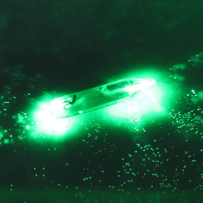 Mini Unterwasser Angeln Licht Fisch Locken Beleuchtung LED Tiefer Tropfen Augen bilden Angeln Tintenfisch Angeln Köder: Grün