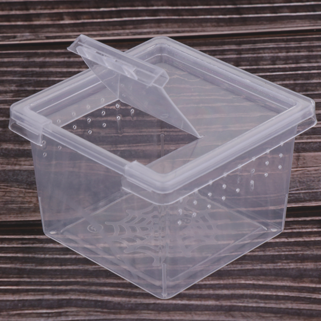 Caja de alimentación para jaula para reptil, Tortuga, araña y Terrario de lagartos
