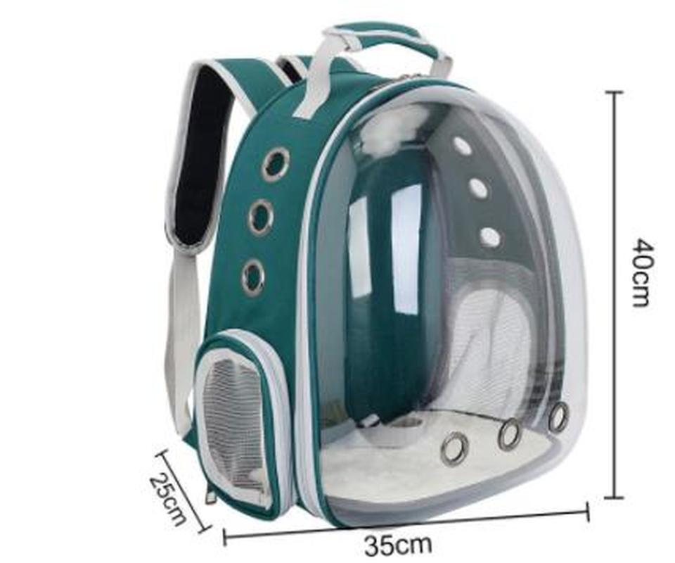 Sac à dos Portable respirant pour chat et chien, Transparent, pour voyage en plein air, pour animaux de compagnie, WJ829: green