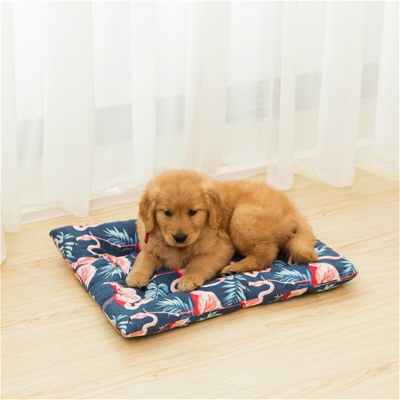 Vinter sällskapsdjur filt söt utskrift sovmattor valpkorg sängunderlägg för stor medium liten hund katt hopfällbar sällskapskudde cama perro: Blå flamingo / 48 x 34cm