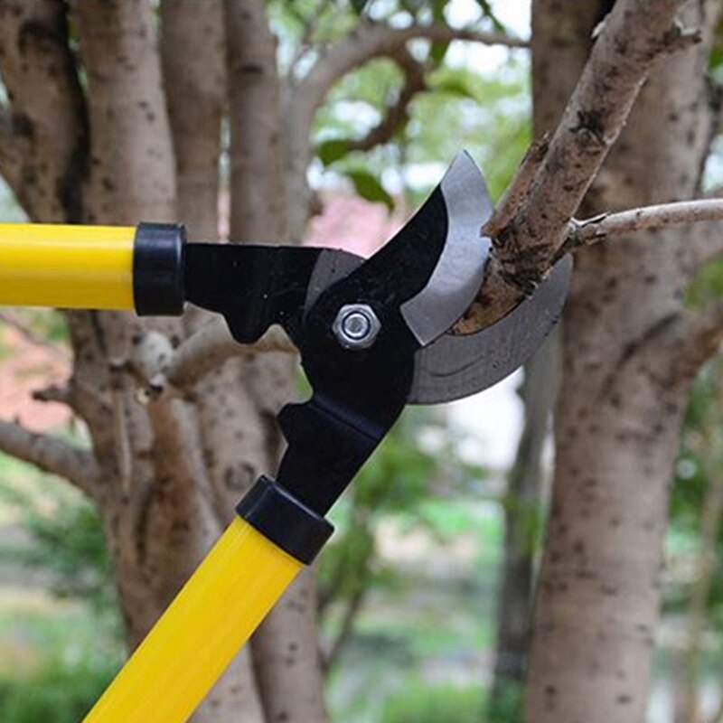 Gartneri beskæring beskæring langskaftet bonsai gren beskæring gartneri værktøj have tyk gren beskæring beskæring frugt tr